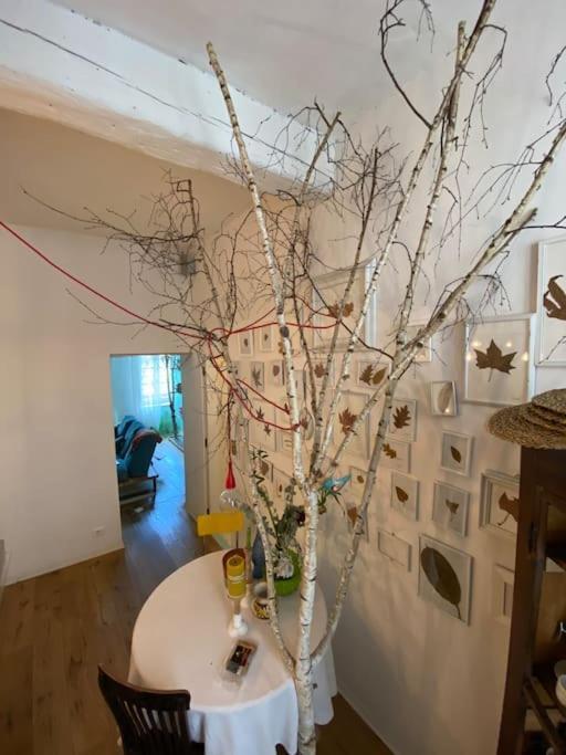Apartmán Casa Degli Alberi Turín Exteriér fotografie