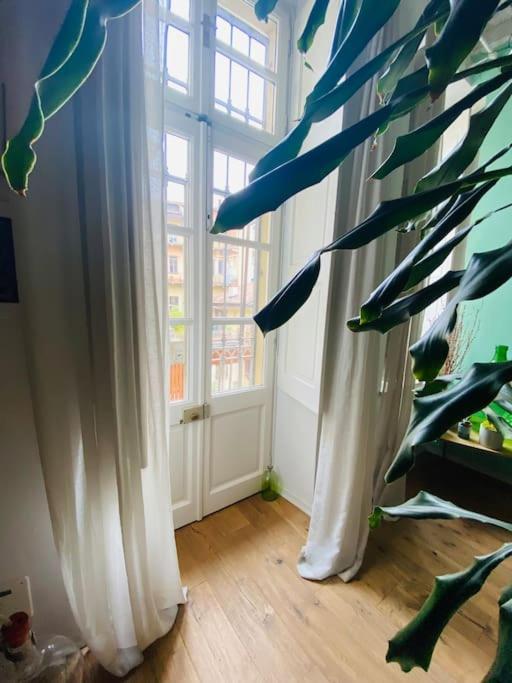 Apartmán Casa Degli Alberi Turín Exteriér fotografie