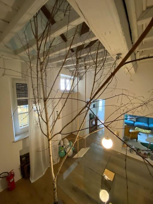 Apartmán Casa Degli Alberi Turín Exteriér fotografie