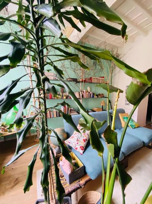 Apartmán Casa Degli Alberi Turín Exteriér fotografie