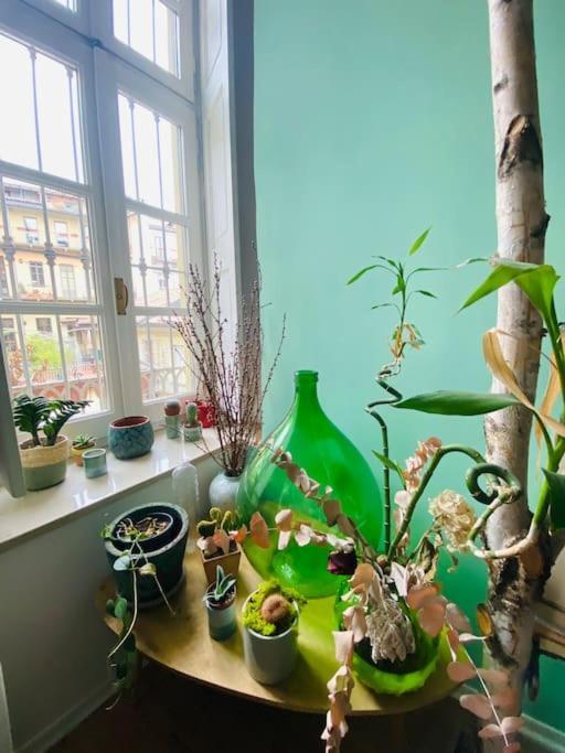 Apartmán Casa Degli Alberi Turín Exteriér fotografie